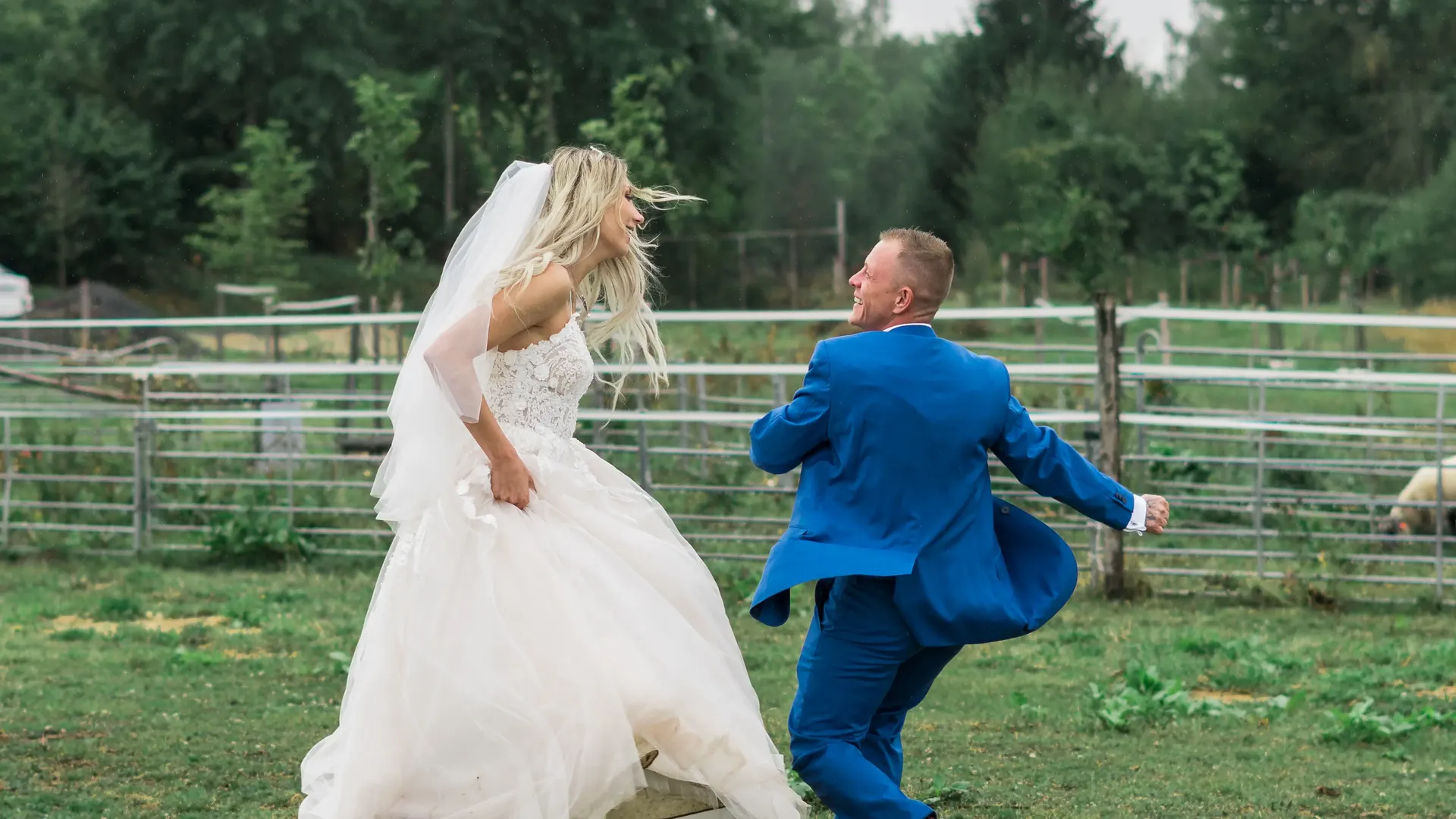 Wedding Image 6